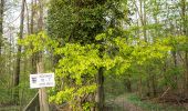 Trail On foot Schöntal - Rundweg 2 Neusaß - Photo 10