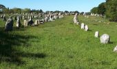 Tour Wandern Carnac - alignements de Carnac au 21 mai 2019 - Photo 1