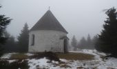 Percorso A piedi Orlické Záhoří - [Z] Orlické Záhoří - Pěticestí - Photo 4