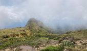 Tocht Stappen Saint-Claude - La Soufrière (retour) - Photo 10