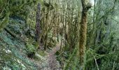 Tour Wandern Capoulet-et-Junac - Le Vicdessos par Illié - Photo 18