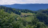 Tour Wandern Thiéfosse - thiefosse haut du roc AR - Photo 1