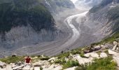 Trail Walking Chamonix-Mont-Blanc - MASSIF DU MONT BLANC: TRAVERSEE PLAN DE L'AIGUILLE - MONTENVERS - Photo 19