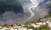 Randonnée Marche Chamonix-Mont-Blanc - MASSIF DU MONT BLANC: TRAVERSEE PLAN DE L'AIGUILLE - MONTENVERS - Photo 19