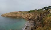 Excursión Senderismo Saint-Gildas-de-Rhuys - SAINT GILDAS DE RHUYS  - Photo 6