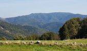 Tour Wandern Saint-Maurice-sur-Moselle - Rouge Gazon - Lacs des Perches et du Neuweiher - Col des Charbonniers  - Photo 18