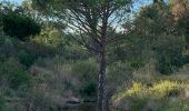 Excursión Senderismo Roquebrune-sur-Argens - z le coulet redon 23-1121 - Photo 5