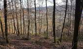 Trail Horseback riding Viroinval - Oignies- Nobertin- La folie-Oignies - Photo 4