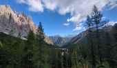 Trail Walking Auronzo di Cadore - Vallon Popena & Guglia De Amicis - Photo 14