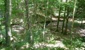 Trail Walking Saissac - le lampy - Photo 19
