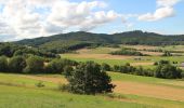 Tour Zu Fuß Gladenbach - Sebastian-Kneipp-Weg - Photo 10