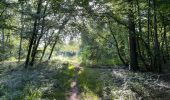 Randonnée Marche Rethondes - en forêt de Laigue_15_07_2021_autour du Mont du Fouilleux et du Mont des Singes - Photo 17