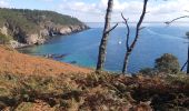 Excursión Senderismo Crozon - cap de la chèvre depuis maison des minéraux  - Photo 3