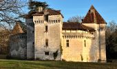 Trail Walking Antonne-et-Trigonant - Boucle Des Châteaux - Photo 2