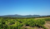 Excursión Marcha nórdica Le Bosc - Le Bosc Grandmont - Photo 19