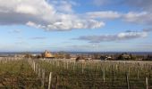 Tocht Stappen Charnay-lès-Mâcon - Levigny Salornay - Photo 1