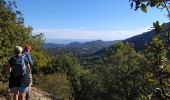 Trail Walking Plan-d'Aups-Sainte-Baume - plan d'aups ste baume - Photo 14