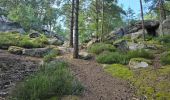 Tour Wandern Milly-la-Forêt - Milly-la-Forêt - Forêt domaniale des Trois pignons - Curiosités  - Photo 13