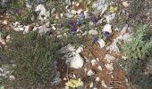 Trail Walking Cotignac - sommet du Bessillon - Photo 7