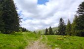 Trail Walking Albepierre-Bredons - Cascades . Albepierre / Col de Prat de Bouc - Photo 7