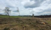 Tour Wandern Hohenfels - rando ornitho wibrin 26-04-2024 - Photo 6