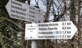 Trail On foot Kuppenheim - Schmetterling - Spechter Kopf - Photo 8