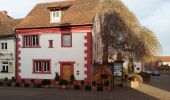 Tour Zu Fuß Erlenbach am Main - Untermain Planetenweg - Photo 6