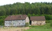 Tocht Te voet Hann. Münden - Panoramaweg - Bramwald - Photo 5