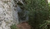 Excursión Senderismo Châtillon-en-Diois - Circuit des Baumes - Pont de vachères-Soubreroche - Boulc - Photo 4