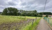 Tocht Stappen Halle - Lembeek 27 km - Photo 16