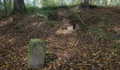 Tour Zu Fuß Freyburg (Unstrut) - Kleinfriedenthal Rundweg - Photo 4