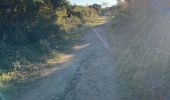 Trail Walking Tarnos - Promenade sud côte Landaise  - Photo 11