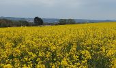 Tour Wandern Châtelet - Marche éphémères Ecureuil - Photo 2