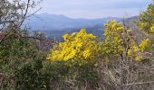 Tour Wandern Mandelieu-la-Napoule - T-Grand Duc - Photo 3