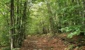 Trail Walking Chamaloc - RA Rocher de Chironne - Photo 4