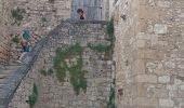 Tour Wandern Vézac - Boucle Beynac- La Roque Gageac - Photo 9