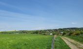 Trail Walking Sainte-Ode - BeauPlateau - Photo 16