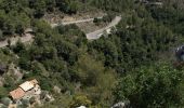 Trail On foot Sospel - Tour du mont Grazian - Photo 2
