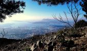 Tour Wandern Toulon - Uba - St Antoine - Point sublime - Sommet du Faron - Retour Uba - Photo 7