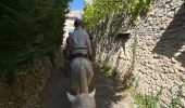 Trail Horseback riding Revest-du-Bion - Provence 2025 J5 - Photo 20