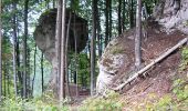 Excursión A pie okres Žilina - Náučný chodník Stratený Budzogáň - Photo 6