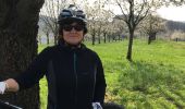 Trail Mountain bike Schliengen - Vallée des cerisiers à Obereggenen - Photo 2