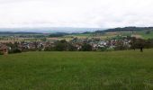 Tocht Te voet Hedingen - Wettswil - Hedingen - Photo 1