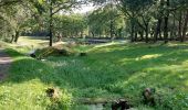 Trail Walking Ploemel - PR_56_Ploemel_AA_01_Tro-Plenuer_Circuit1b_20230806 - Photo 3