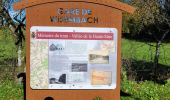 Tour Wandern Feitweiler - rando fauvillers 22-10-2024 - Photo 3