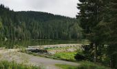 Tour Wandern Sulzern - lac vert, lac du forlet - Photo 2