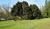 Tour Zu Fuß Unbekannt - Rundwanderweg Kruppwald A2 - Photo 4