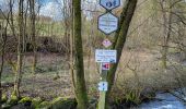 Tour Wandern Hohenfels - Cetturu 060224 - Photo 18