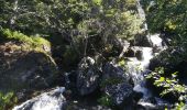 Trail Walking Saint-Martin-d'Uriage - cascade de l'oursiere 2019 - Photo 10