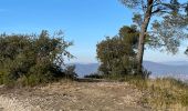 Tour Wandern La Roque-d'Anthéron - PF-La-Roque-d'Anthéron - La Chaîne des Côtes - Reco - Photo 19